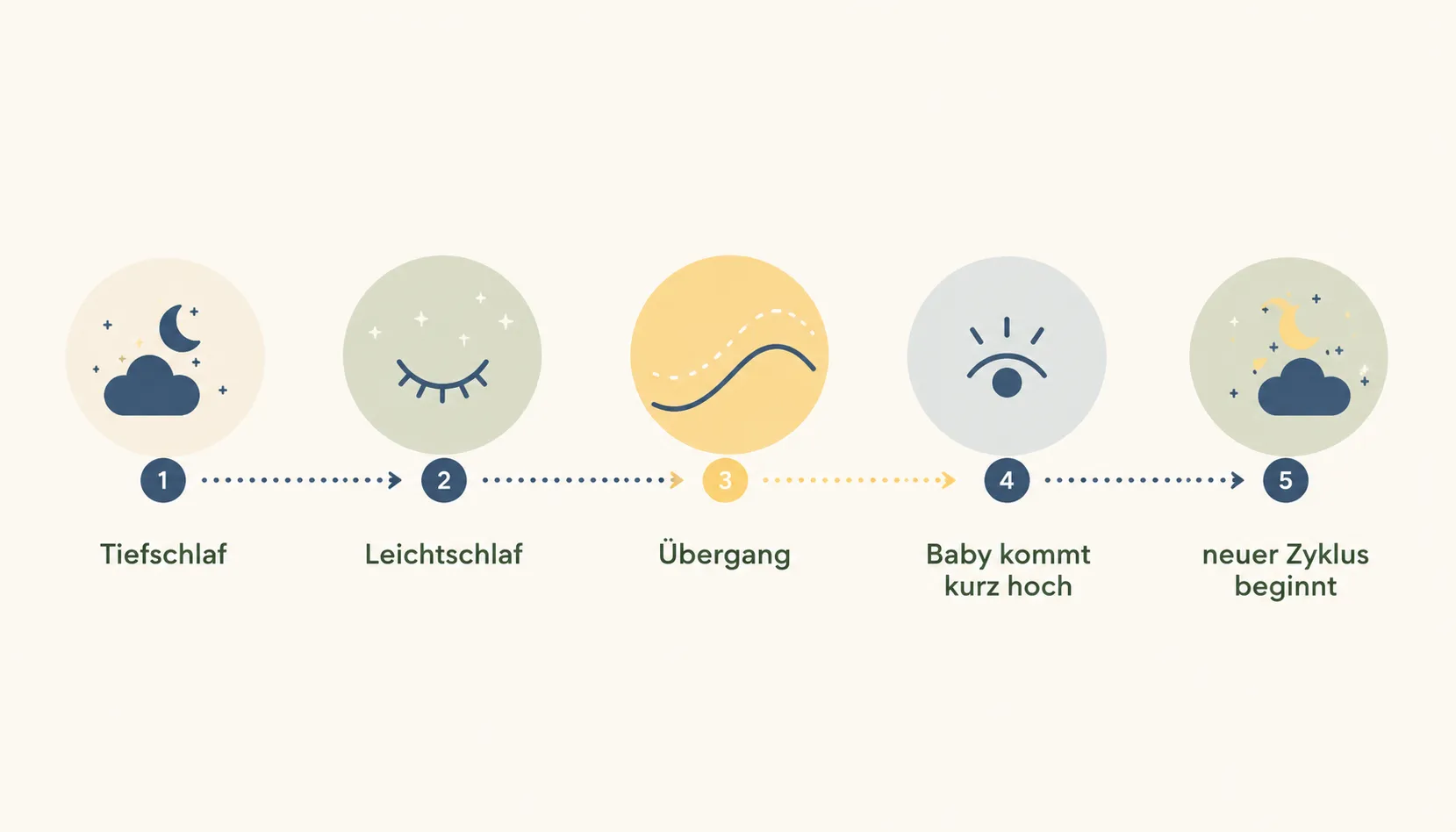 Abstrakte Zeitachse eines Baby-Schlafzyklus mit fünf Phasen von Einschlafen bis Zyklusübergang, schematische Darstellung in Nachtblau und Nachtlicht-Gelb